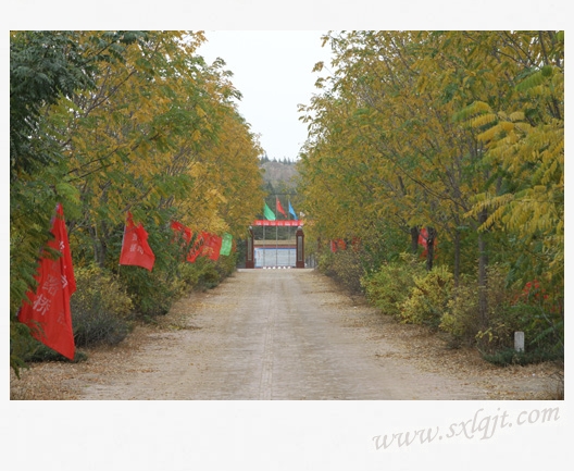 pg�ͽ�Ů��-(�ٷ���)�й���վ