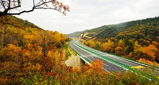 pgÉͽðÅ®Íõ-(¹Ù·½°æ)ÖйúÍøÕ¾