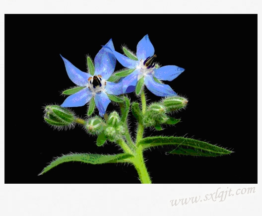 pg�ͽ�Ů��-(�ٷ���)�й���վ