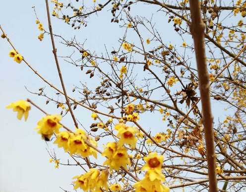 pg�ͽ�Ů��-(�ٷ���)�й���վ