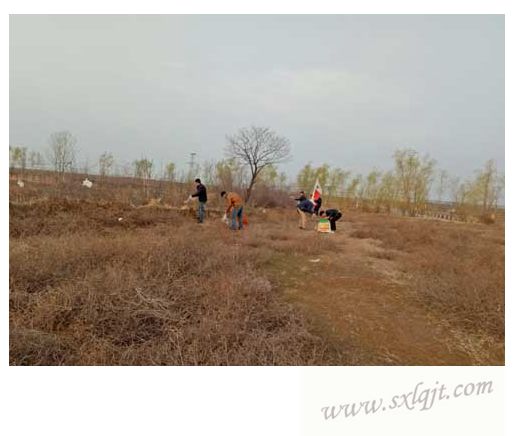 pg�ͽ�Ů��-(�ٷ���)�й���վ