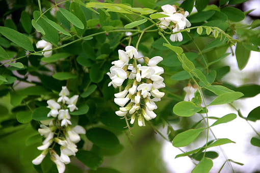 pg�ͽ�Ů��-(�ٷ���)�й���վ