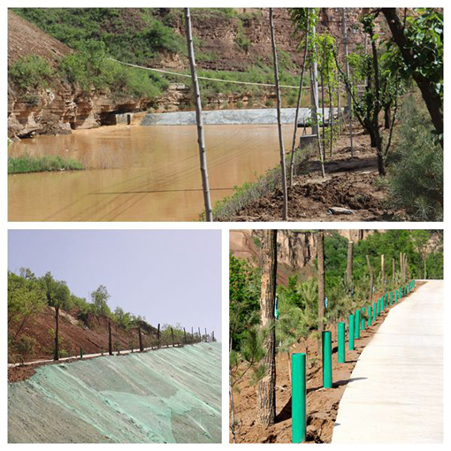 pgÉͽðÅ®Íõ-(¹Ù·½°æ)ÖйúÍøÕ¾