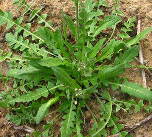 pg�ͽ�Ů��-(�ٷ���)�й���վ