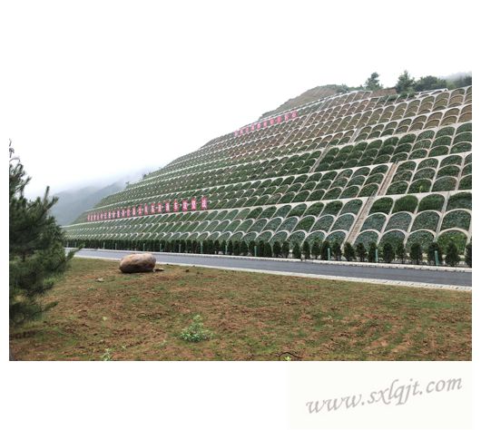 pg�ͽ�Ů��-(�ٷ���)�й���վ