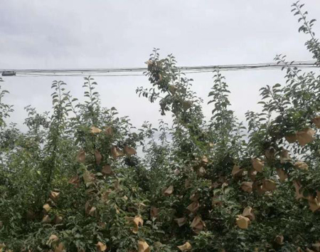 pg�ͽ�Ů��-(�ٷ���)�й���վ