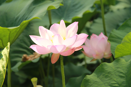 pgÉͽðÅ®Íõ-(¹Ù·½°æ)ÖйúÍøÕ¾