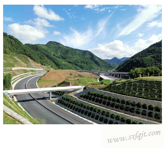 pg�ͽ�Ů��-(�ٷ���)�й���վ