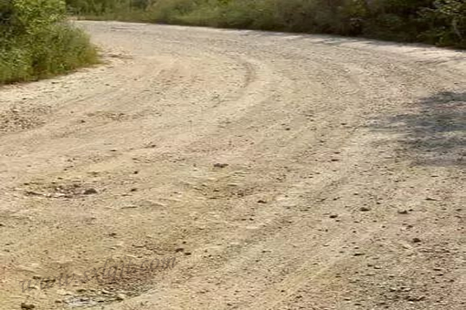 pg�ͽ�Ů��-(�ٷ���)�й���վ