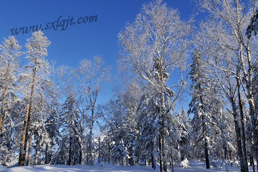 pgÉͽðÅ®Íõ-(¹Ù·½°æ)ÖйúÍøÕ¾