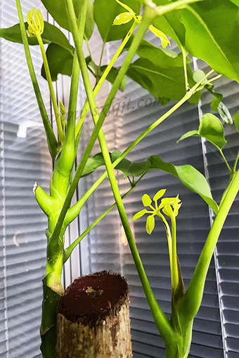 pg�ͽ�Ů��-(�ٷ���)�й���վ