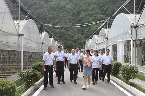 pgÉͽðÅ®Íõ-(¹Ù·½°æ)ÖйúÍøÕ¾